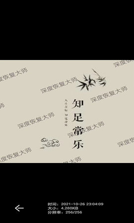 深度恢复大师 19.5 安卓版 4