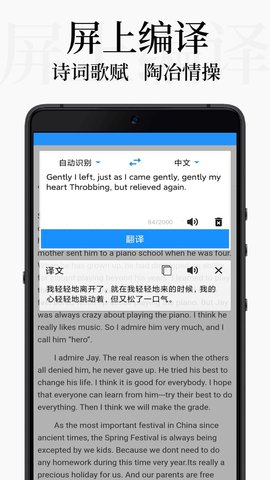 DB翻译 v2.0.2 安卓版 3