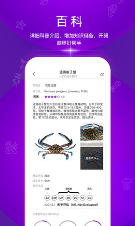问鱼 2.0.2 安卓版 1
