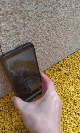 极速跳绳 1.2.2 安卓版 1