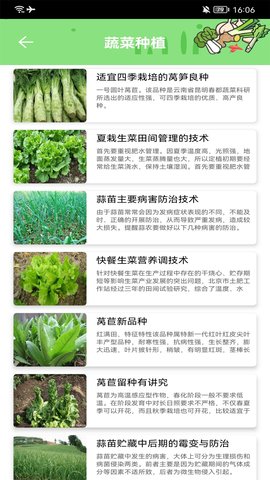 有机菜市场 1.5 安卓版 1