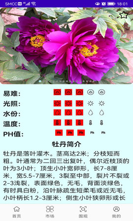绿植花卉 0.1.7 安卓版 4