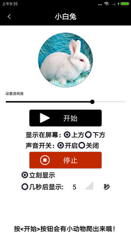 整人宠物恶作剧 3.5 安卓版 3