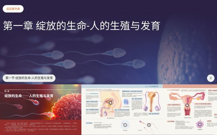 人体 1.0.1 安卓版 1