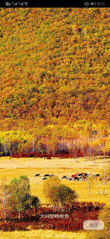 国家风景 5.0.7 安卓版 1