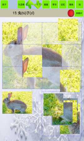 宝宝识动物汽车画画 1.21 安卓版 1