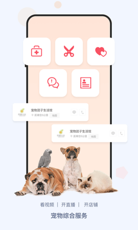 龙平台影视 4.1.6 最新版 4