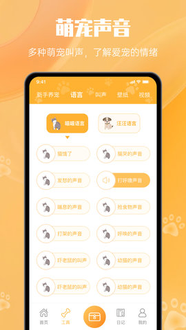 网喵 1.2 最新版 1