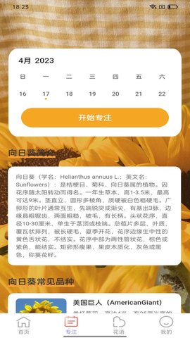 百花步数 2.0.4 安卓版 2