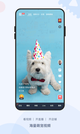 龙平台影视 4.1.6 最新版 1