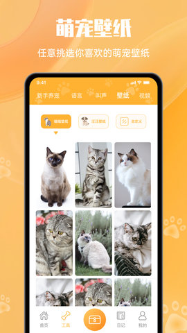 网喵 1.2 最新版 4