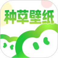 种草壁纸下载安装-种草壁纸app官方版