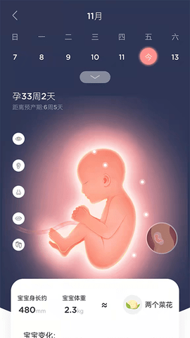 LifeOfmom 3.0.9 安卓版 3