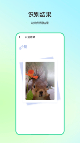动物百科 4.1.1 安卓版 2