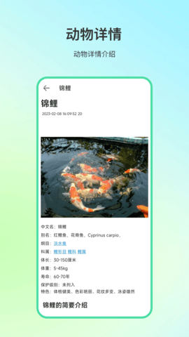 动物百科 4.1.1 安卓版 3