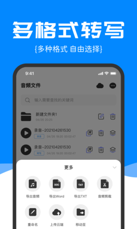 精准录音转文字 2.0.29 安卓版 2
