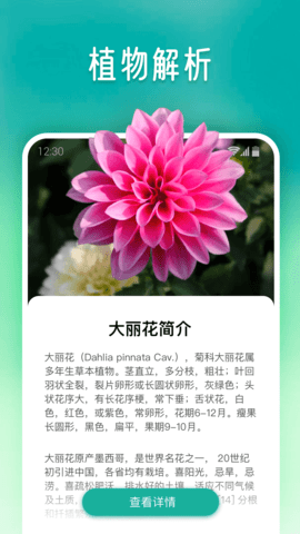 植物大师 1.0.2 安卓版 2