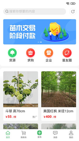 苗青青 2.0.30 安卓版 3