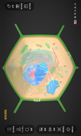 细胞生物学3D资源库系统 1.4.18 最新版 3