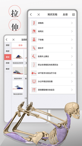 第三人体 1.3.1 安卓版 4
