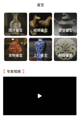 中视鉴宝 1.0.17 安卓版 2