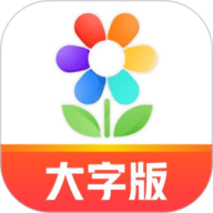 大字版天天看软件