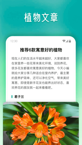 植物大师 1.0.2 安卓版 3