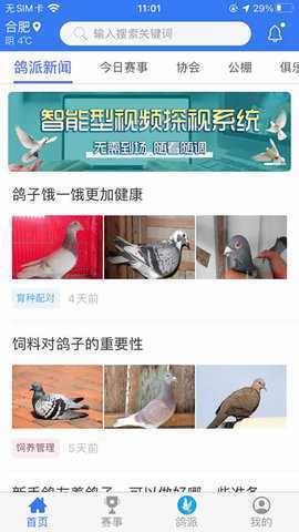 鸽派 1.0.42 安卓版 1