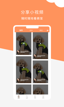 栖宠 1.1.6 安卓版 2