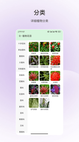 百科全书 3.5.6 安卓版 2