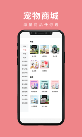 宠传奇 1.0.7 安卓版 1