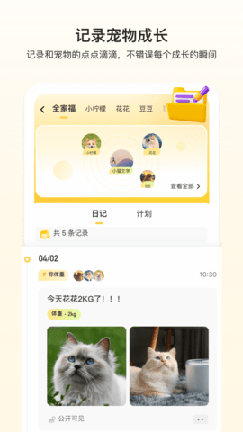 附近有喵 1.2.80 安卓版 1