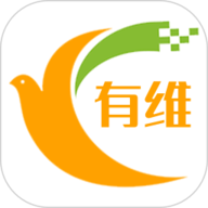 有维