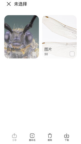 阿蛋科学探索 1.2 安卓版 2