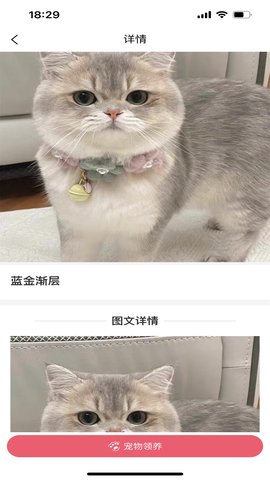 宠哩吖商城 1.3.6 安卓版 1