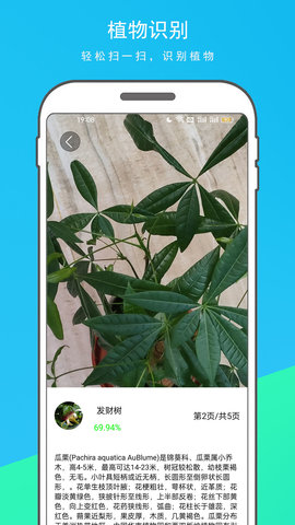 拍图识物 1.1.3 安卓版 1