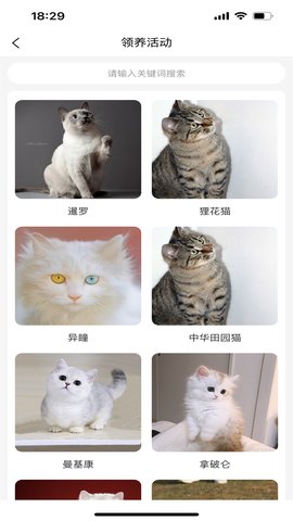 宠哩吖商城 1.3.6 安卓版 2