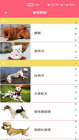 宠物宝宝大全 1.010 安卓版 1