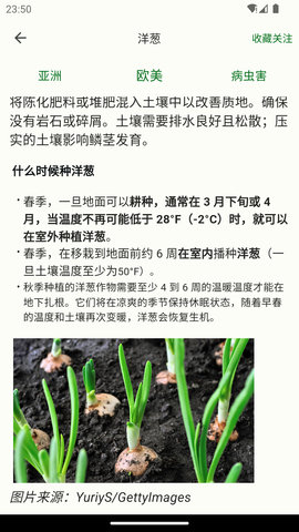 鱼菜记 2.0.3 安卓版 3