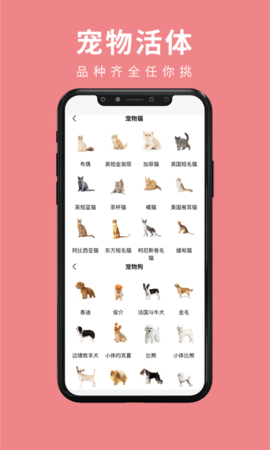 宠传奇 1.0.7 安卓版 2