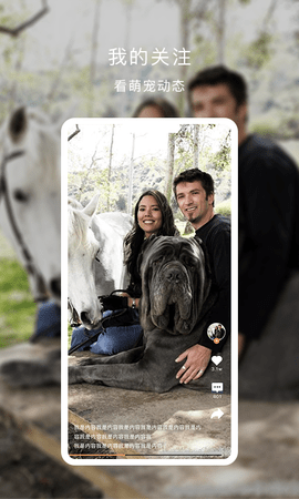 栖宠 1.1.6 安卓版 1