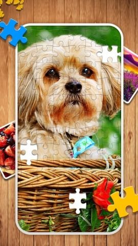 经典拼图游戏单机版 1.0.0 安卓版 3