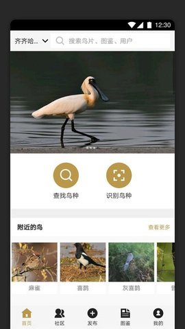识鸟家App 1.4 安卓版 1