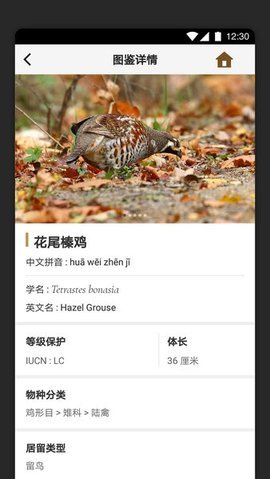 识鸟家App 1.4 安卓版 2