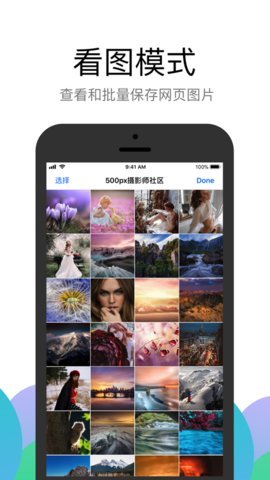 bl浏览器App 1.0.132 安卓版 2