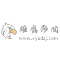 雄鹰影院tv版去广告App