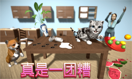 猫咪模拟器 4.9.8 安卓版 1