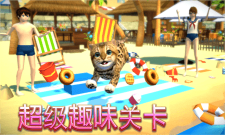 猫咪模拟器 4.9.8 安卓版 2