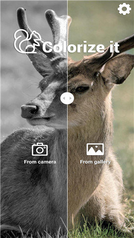 Colorize 4.0.50 安卓版 3