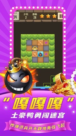 加油鸭推箱子 1.0 安卓版 2